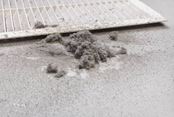 Best HVAC System Cleaning  in Center Line, MI