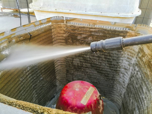 Best Air Duct Mold Removal  in Center Line, MI