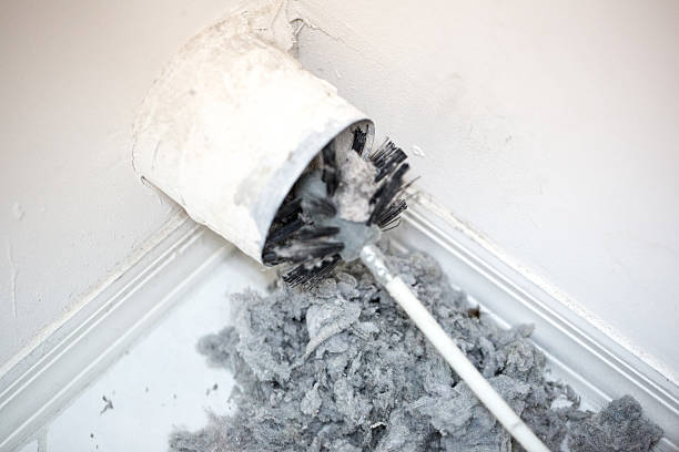 Best HVAC Duct Inspection Services  in Center Line, MI